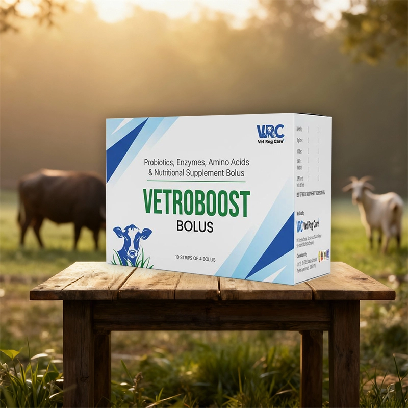 VetroBoost Bolus pack
